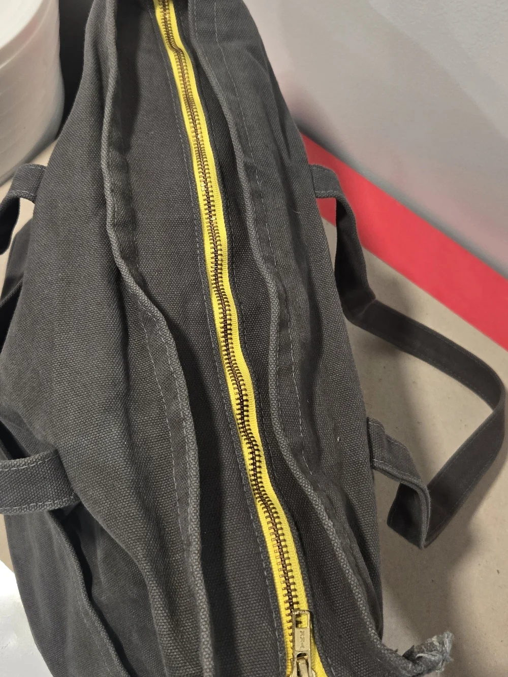 Love Thy Beast Gray Canvas Pet Tote